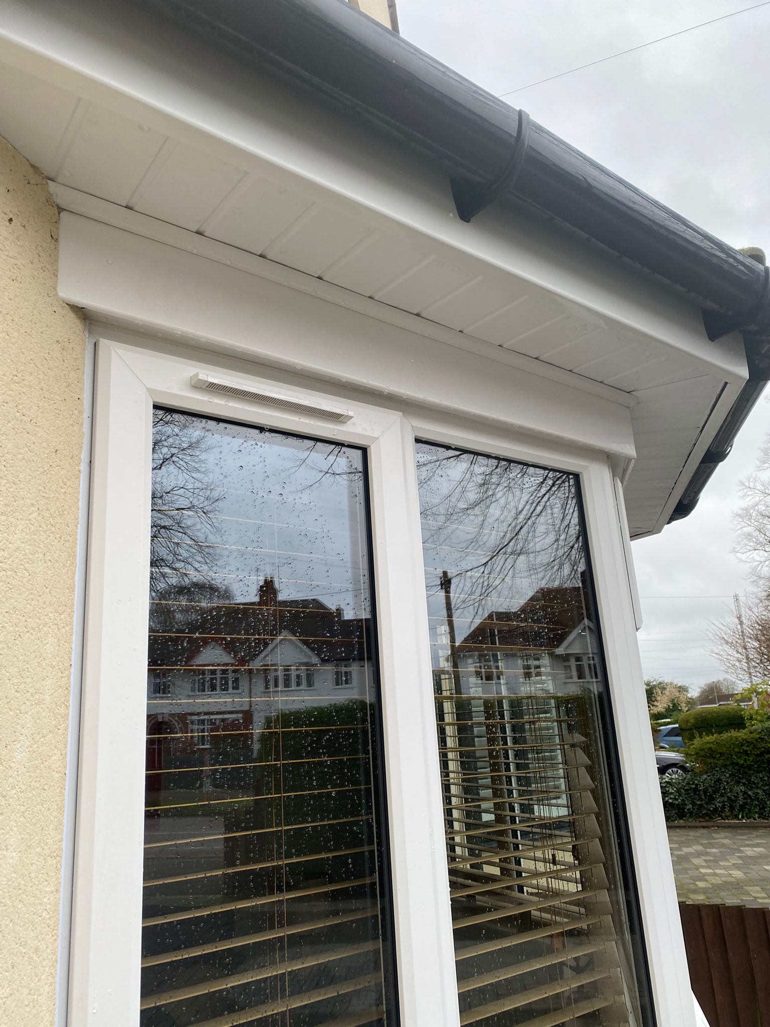 Window Cleaning