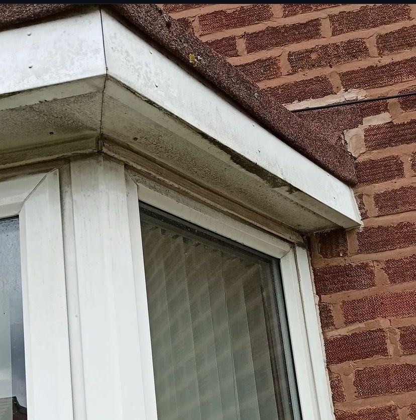 Window Cleaning