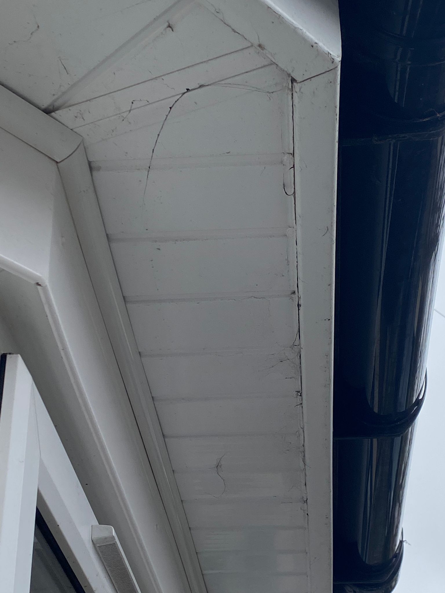 Window Cleaning