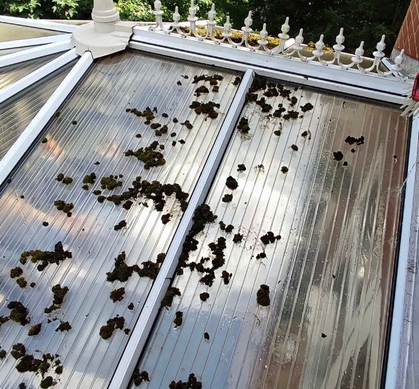 Window Cleaning