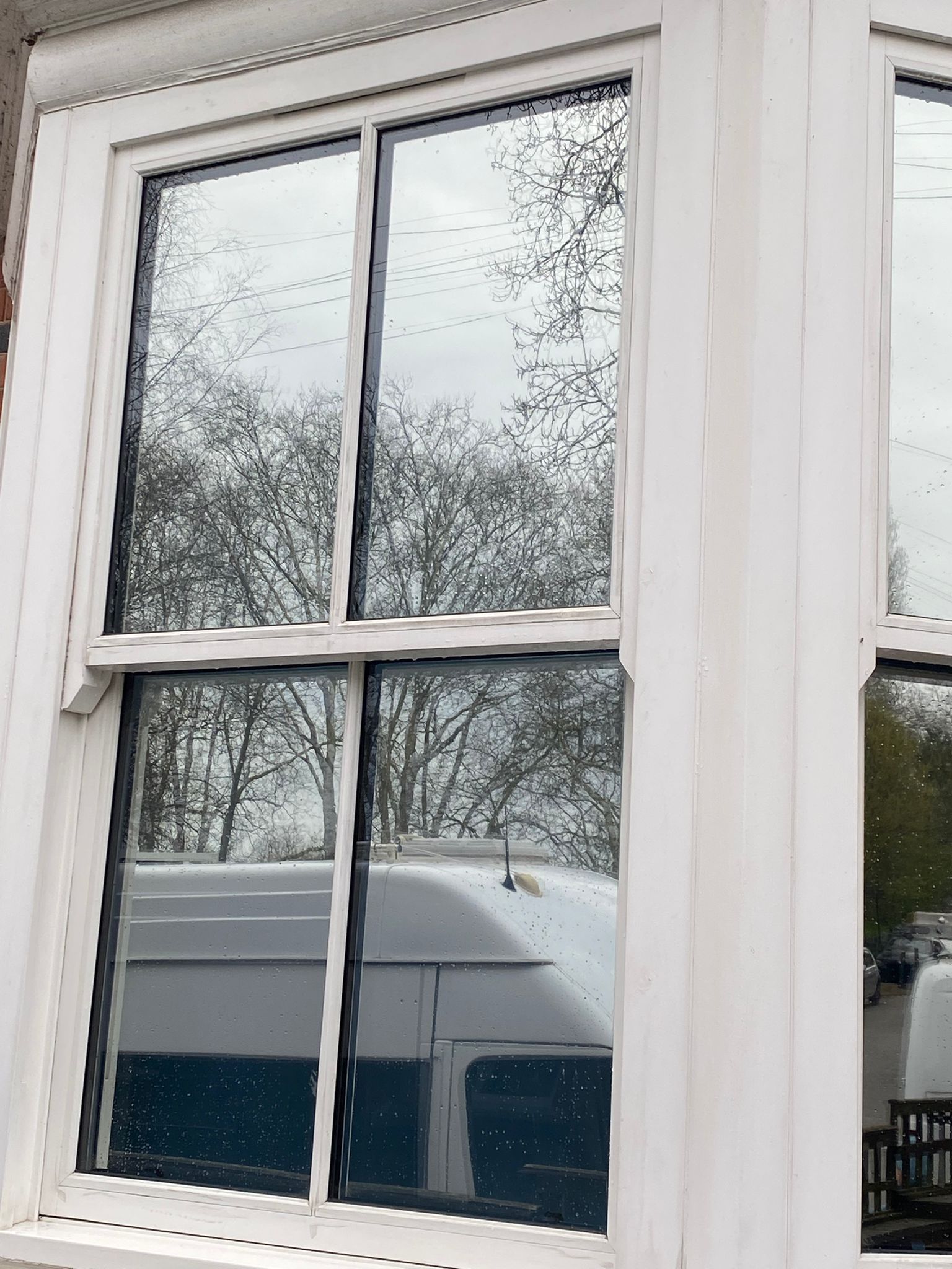 Commercial Window Cleaning